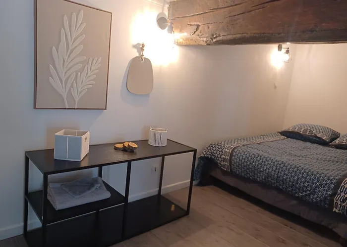 Charmant Studio Et Mezzanine De 38 M2